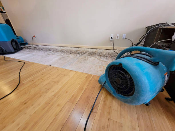 Professional Water Damage Repair technician working in San Ysidro, CA